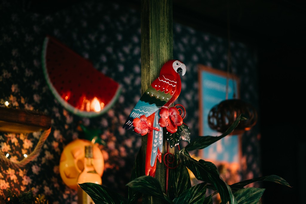 2019-afrobanana-festival-2