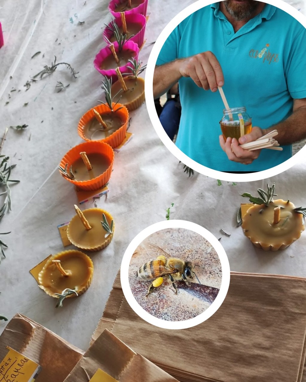 csi-bee-workshop-trapezoma-afrobanana-abr-festival-2025