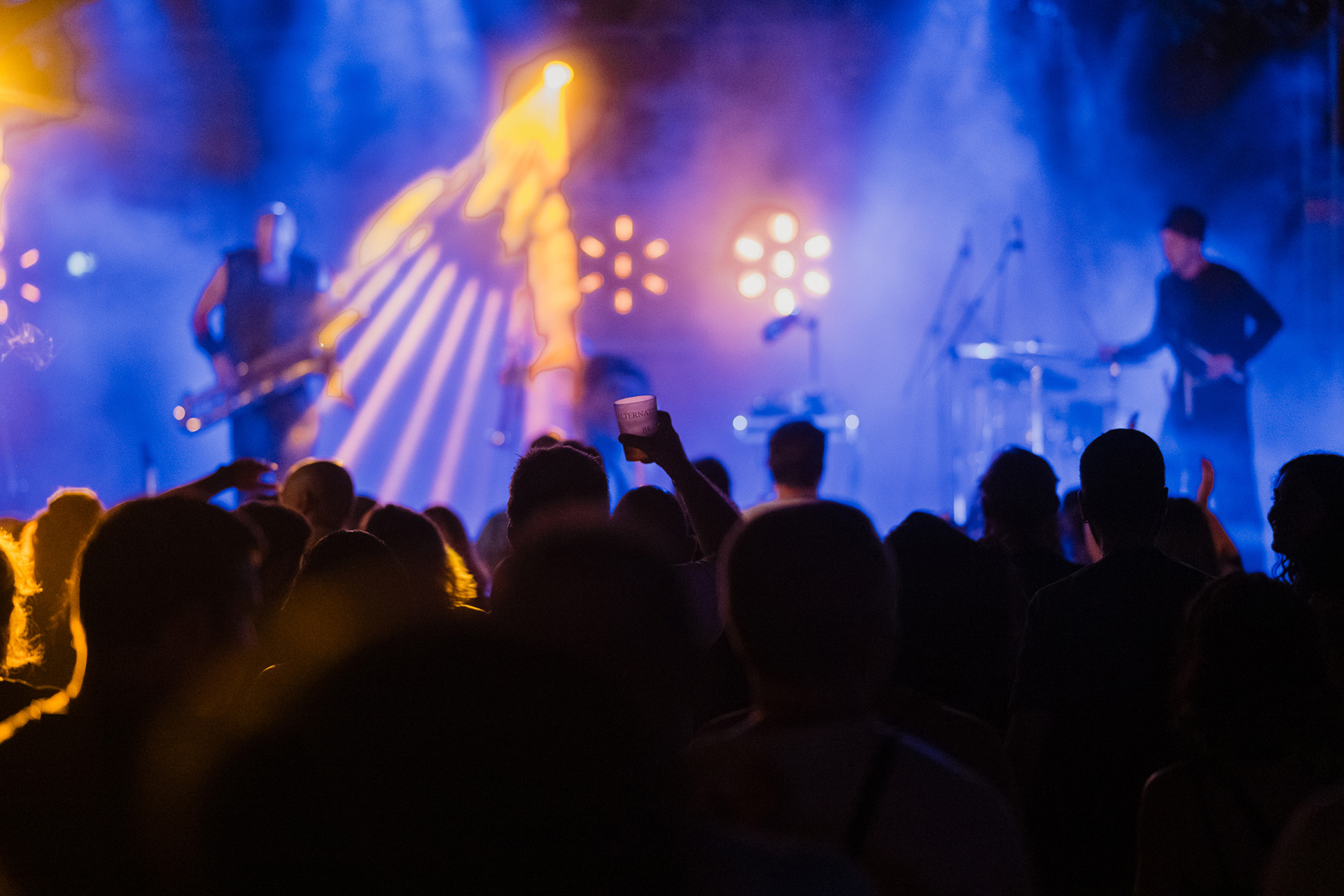 The festival crowd under the lights