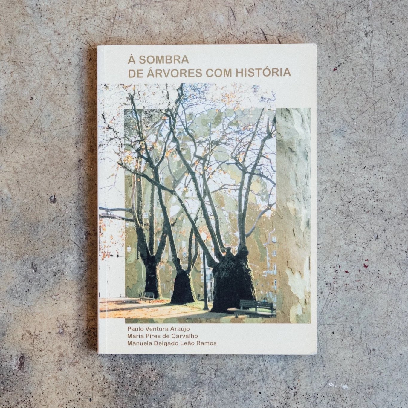 À Sombra de Árvores com História